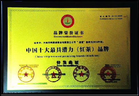 滇茸获“中国十大最具潜力（红茶）品牌”